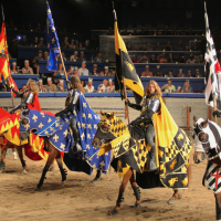 Medieval Times Toronto - Knights of the Realm_1